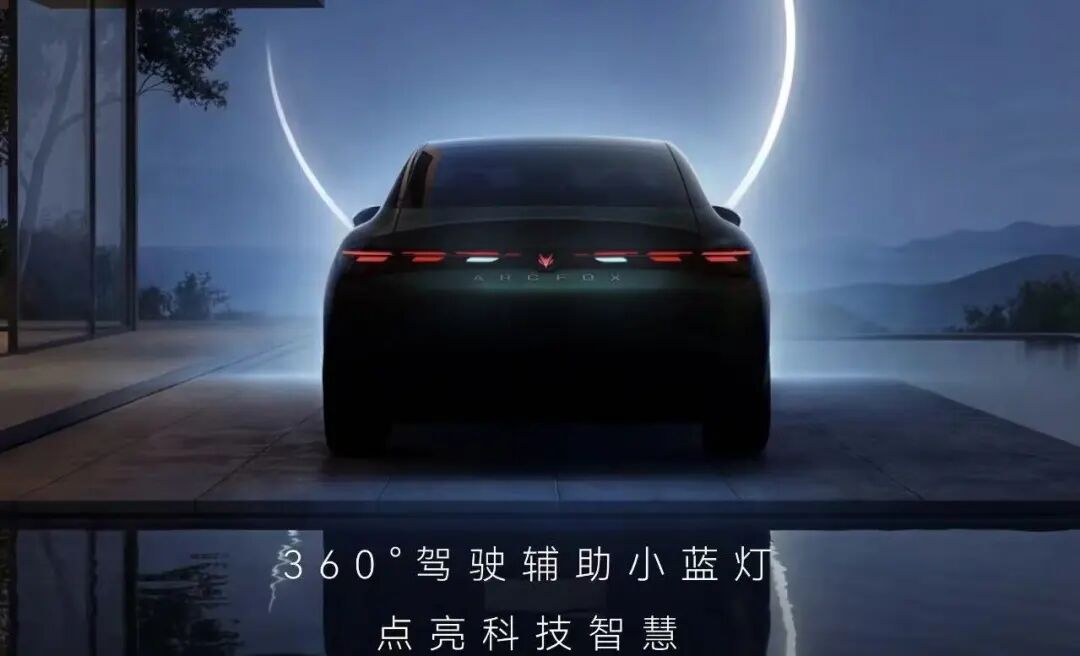 1772509561254073 3.jpg